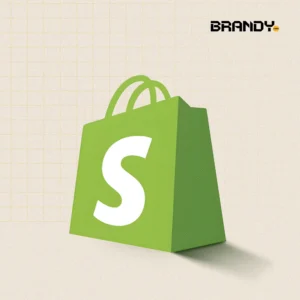Shopify Website Development 