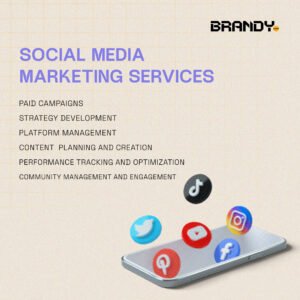 Key Services Offered by a Top Social Media Marketing Agency in Egypt 