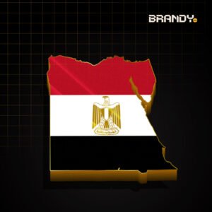 Why Your Business Needs a Professional Social Media Marketing Agency in Egypt 